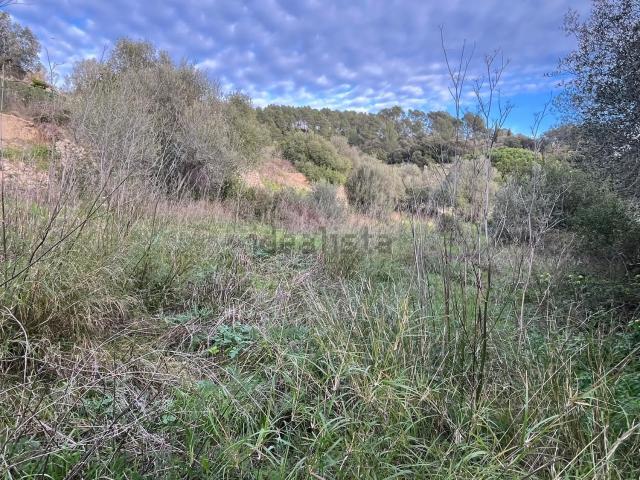 Terreno en venta en Serra de Tramuntana, Baleares
