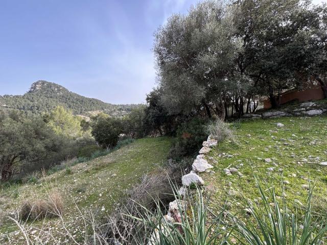 Terreno en venta en Serra de Tramuntana, Baleares