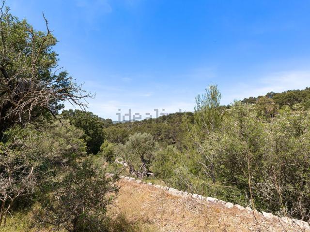 Terreno en venta en Serra de Tramuntana, Baleares