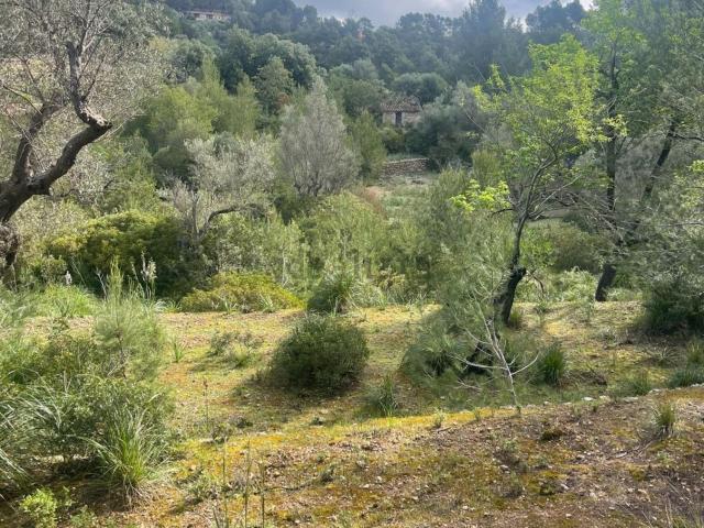 Terreno en venta en Serra de Tramuntana, Baleares
