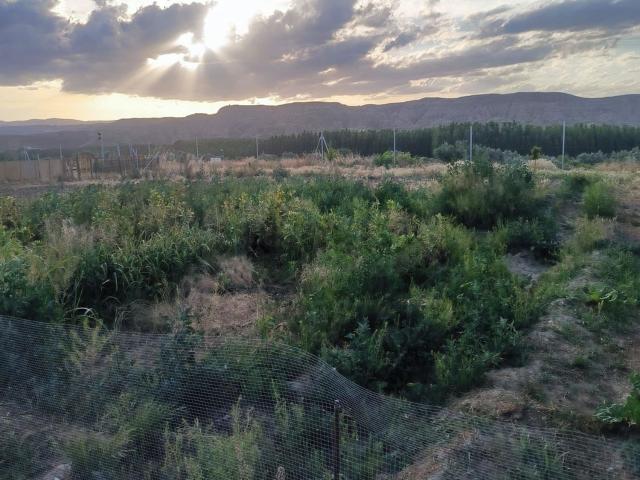 Terreno en venta en El Bejarín, Purullena