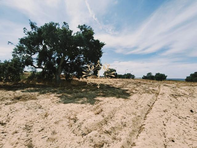 Terreno venda em Palmela, Setúbal