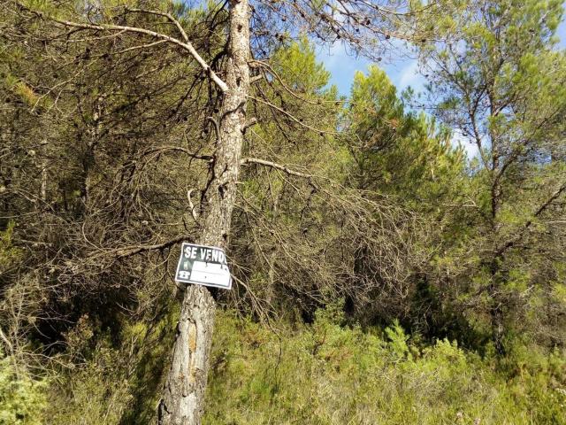 Terreno en venta en Alt Camp, Catalunya