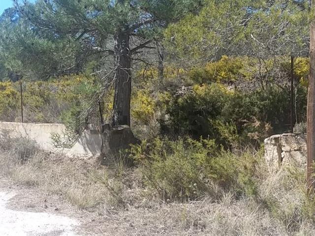 Terreno en venta en Alt Camp, Catalunya