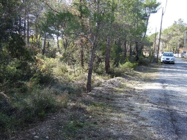 Terreno en venta en Alt Camp, Catalunya