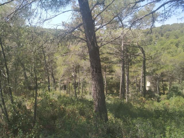 Terreno en venta en Alt Camp, Catalunya
