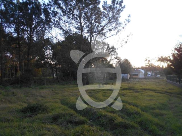 Terreno venda em Figueira Da Foz, Coimbra