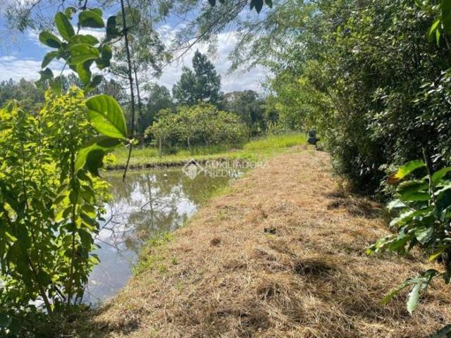 Terreno venda em Região Geográfica Imediata de Taquara - Parobé - Igrejinha, Região Metropolitana de Porto Alegre