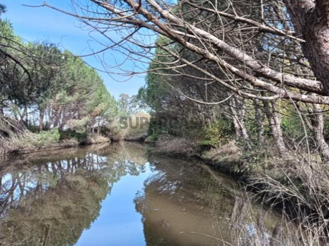 Terreno venda em Ponte De Vagos, Aveiro