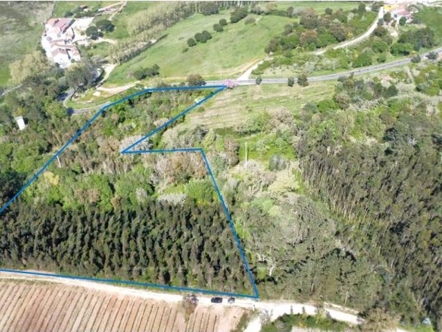 Terreno venda em Casais das Maias, Caldas Da Rainha
