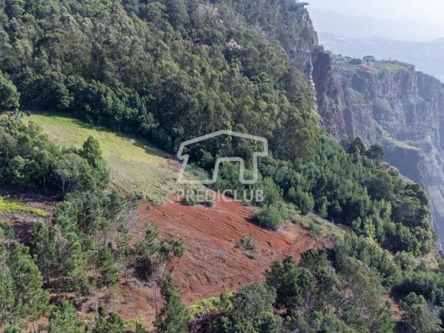 Terreno venda em Câmara De Lobos, Aviceiro Terreno venda em Câmara De Lobos, Aviceiro