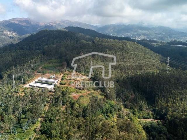 Terreno venda em Câmara De Lobos, Ilha Da Madeira
