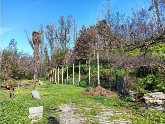 Terreno venda em Albergaria-a-velha, Aveiro