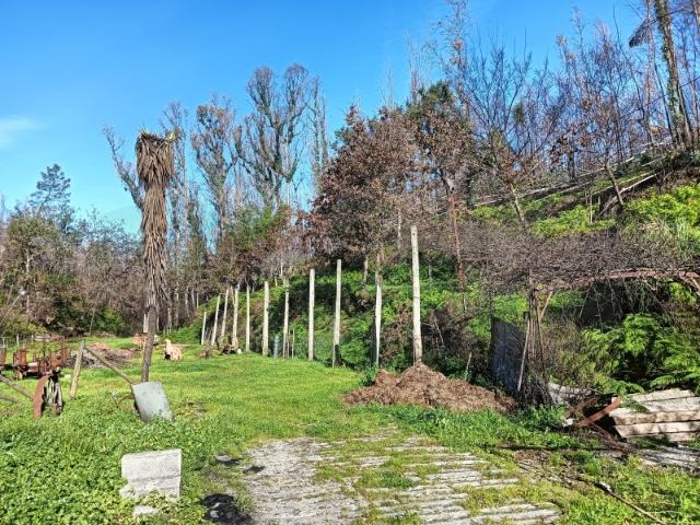 Terreno venda em Albergaria-a-velha, Aveiro