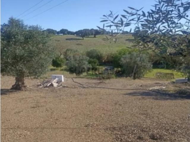 Terreno venda em Montemor-o-novo, Évora