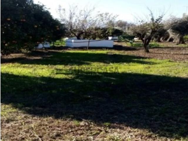 Terreno venda em Montemor-o-novo, Évora