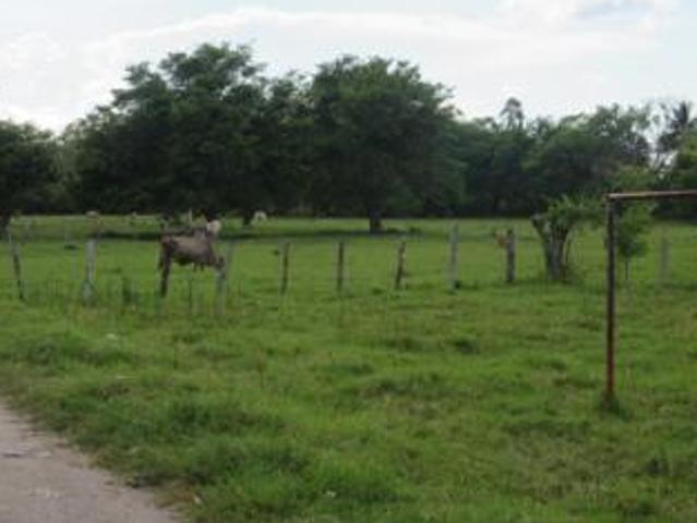 Terreno en venta en Jalpa de Méndez