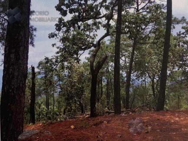 Terreno en venta en Mixtlán, Jalisco