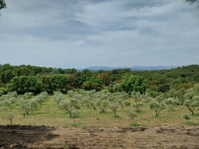 Terreno en venta en Alt Empordà, Catalunya