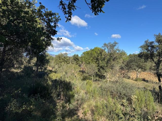 Terreno en venta en Alt Empordà, Catalunya