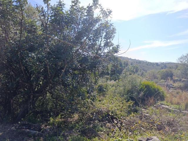 Terreno en venta en Monte Pego, la Marina Alta