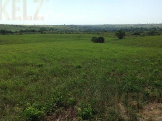 Terreno Rancho o rancheria Nuevo Progreso
