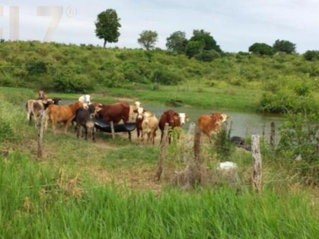 Terreno Rancho o rancheria Nuevo Progreso
