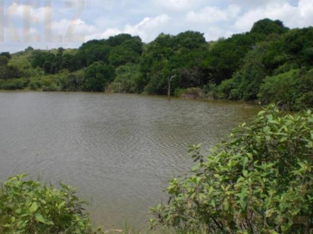 Terreno Rancho o rancheria Nuevo Progreso