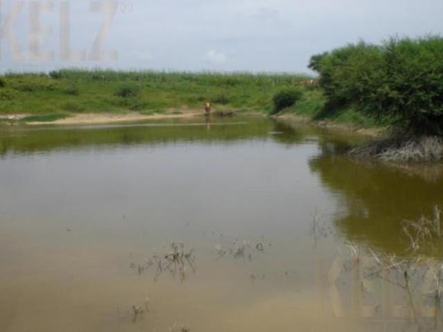 Terreno Rancho o rancheria Nuevo Progreso