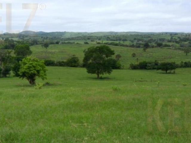 Terreno Rancho o rancheria Nuevo Progreso