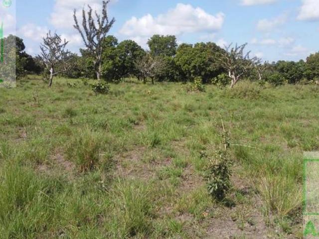 Terreno Rancho o rancheria Santa Adelaida