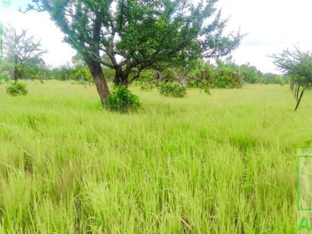 Terreno Rancho o rancheria Santa Adelaida