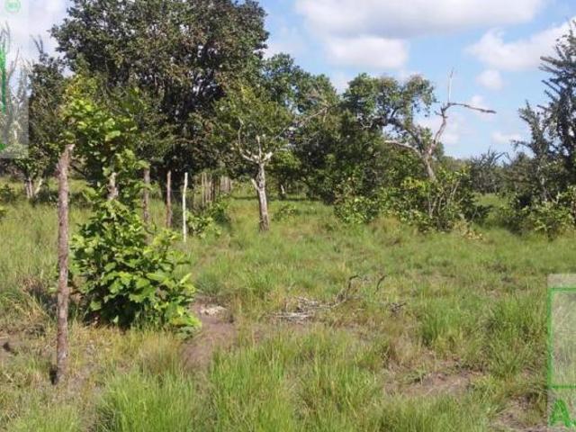 Terreno Rancho o rancheria Santa Adelaida