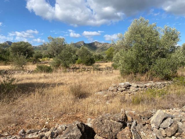 Terreno en venta en Rasquera, Tarragona