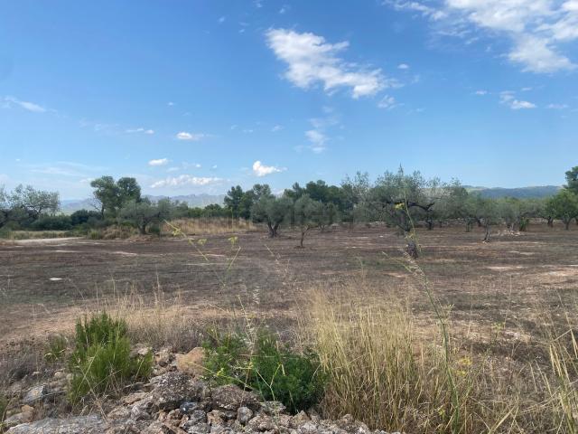 Terreno en venta en Rasquera, Tarragona
