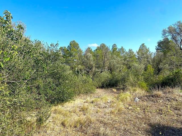 Terreno en venta en les Roges, Rasquera