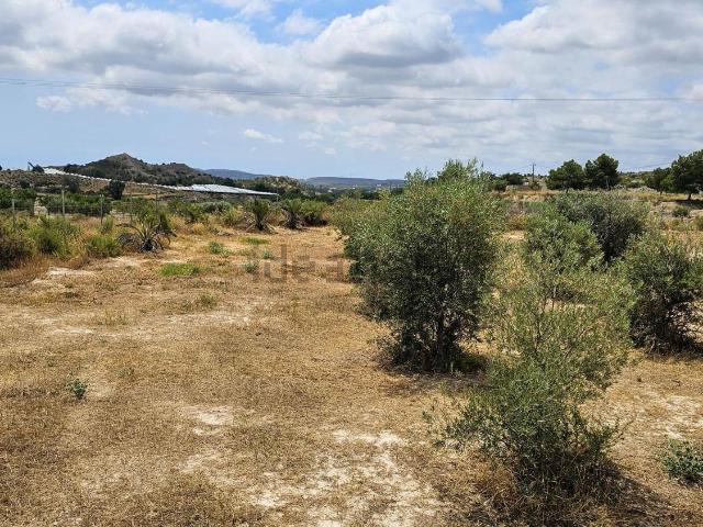 Terreno en venta en el Rebolledo, l'Alacantí