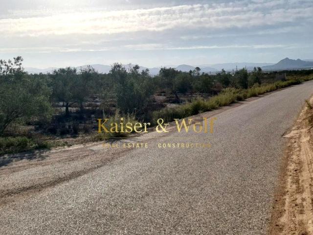 Terreno en venta en el Rebolledo, l'Alacantí