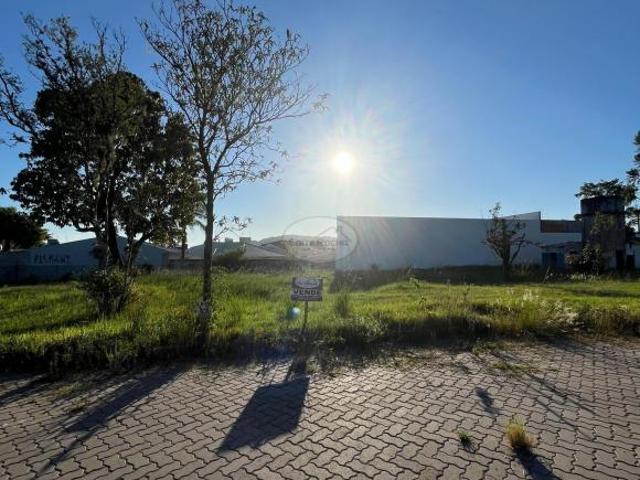 Terreno venda em Pitangueiras, Santo Antônio da Patrulha