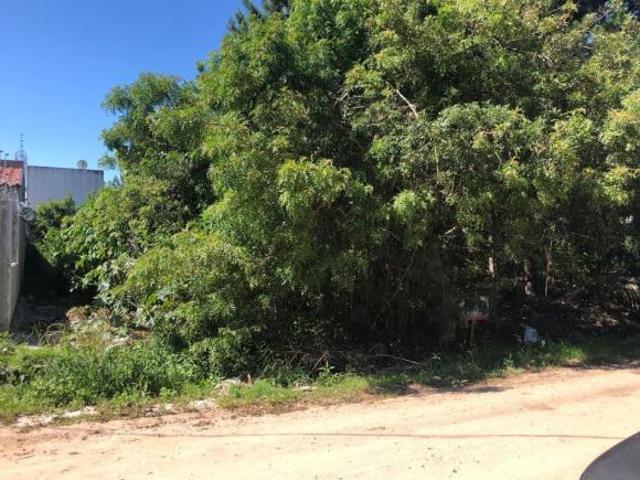Terreno venda em Região Geográfica Imediata de Pelotas, Aglomeração Urbana do Sul