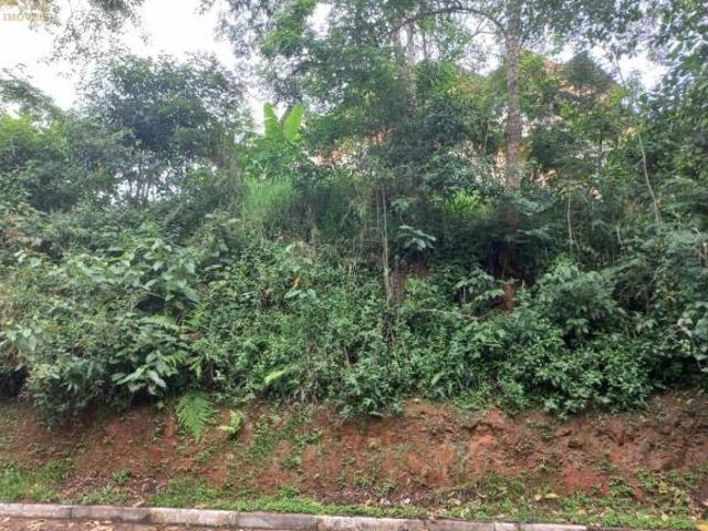 Terreno venda em Cotia