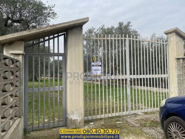 Terreno in vendita a Puglia, Barletta-andria-trani
