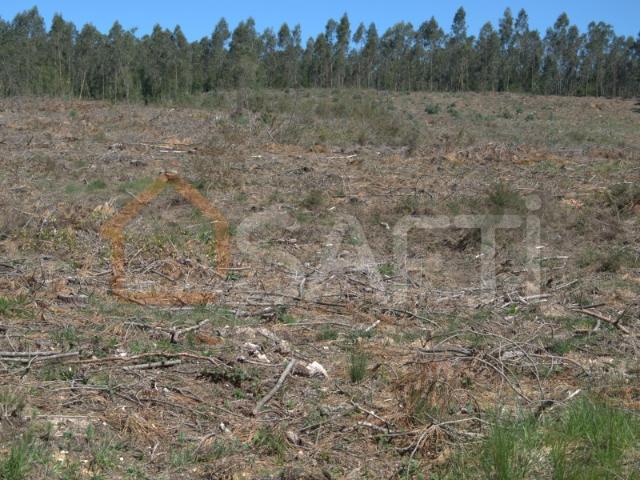 Terreno venda em Pombal, Leiria