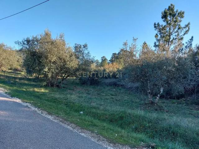 Terreno venda em Pombal, Redinha