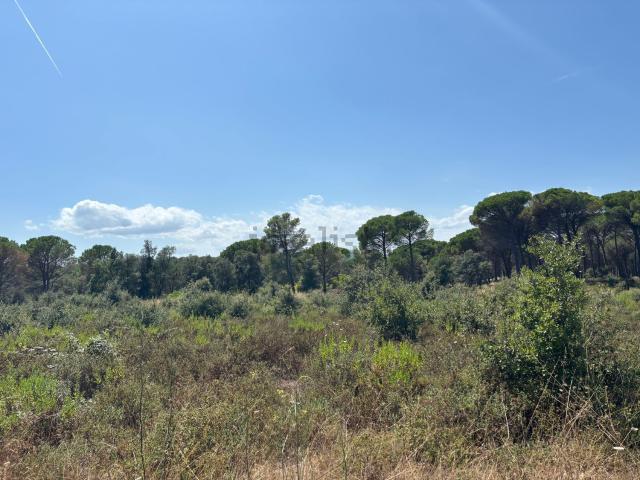 Terreno en venta en l'Arrabassada, Baix Empordà