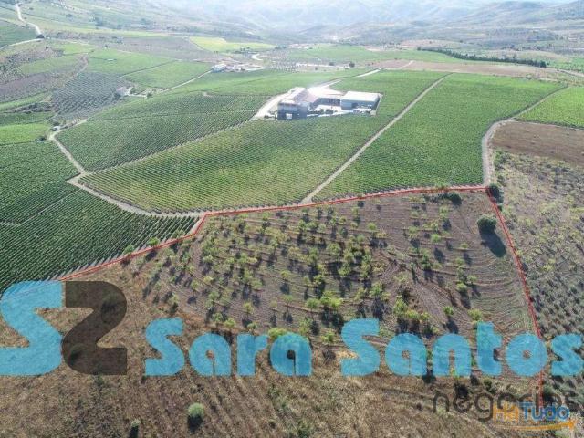 Terreno venda em Freixo Espada À Cinta, Bragança