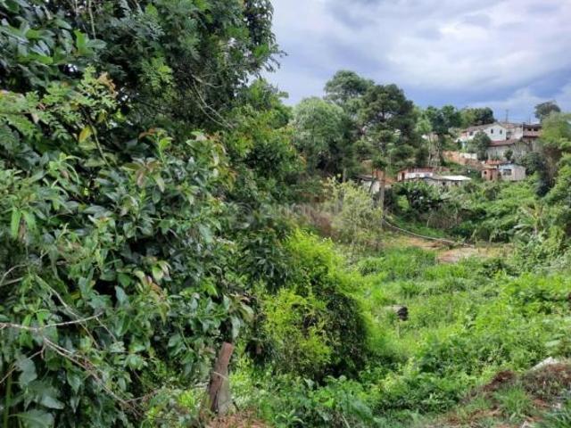 Terreno venda em Região Geográfica Imediata de Curitiba, Região Metropolitana de Curitiba