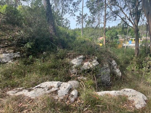 Terreno venda em Cezaredas, Lourinhã
