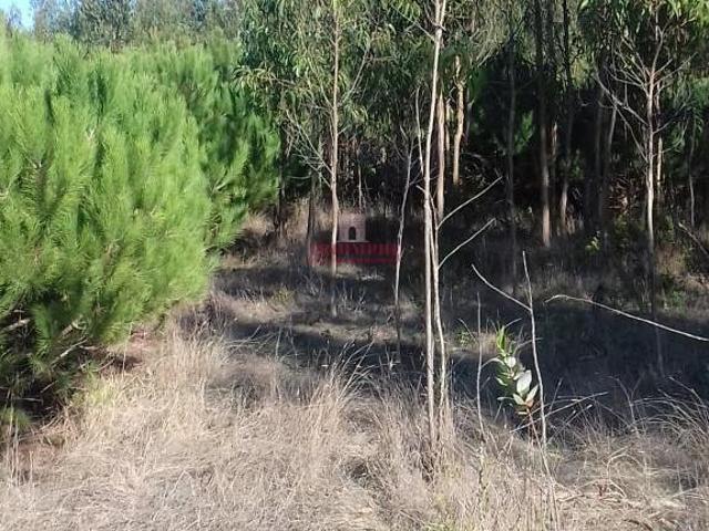 Terreno venda em Casal Serrano, Lourinhã