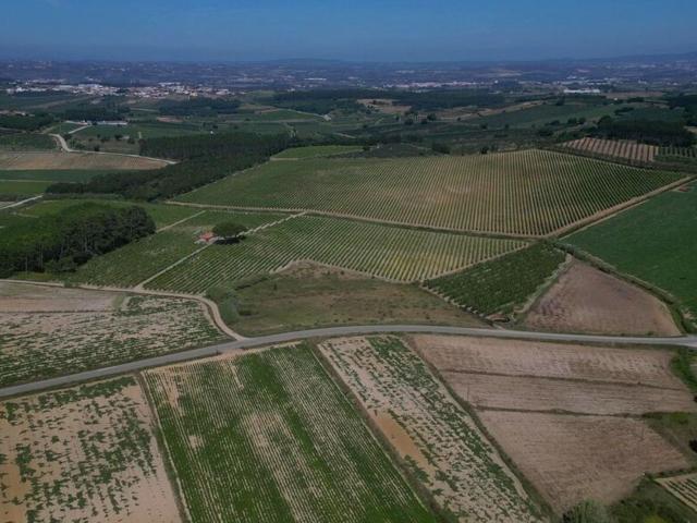 Terreno venda em Lourinhã, Lisboa